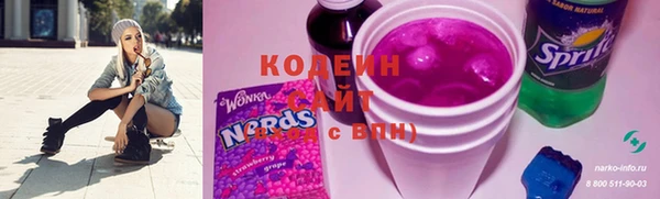 мдпв Заводоуковск