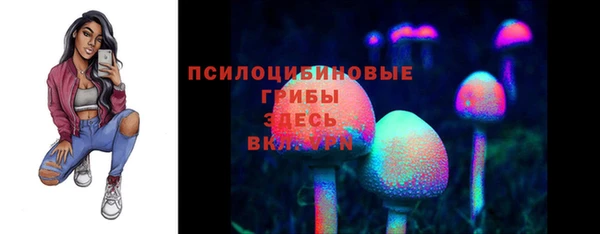 мдпв Заводоуковск