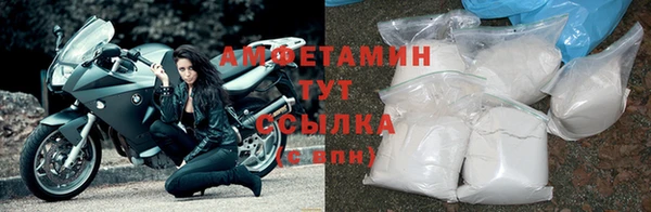 мдпв Заводоуковск