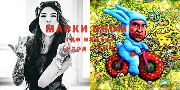 мдпв Заводоуковск